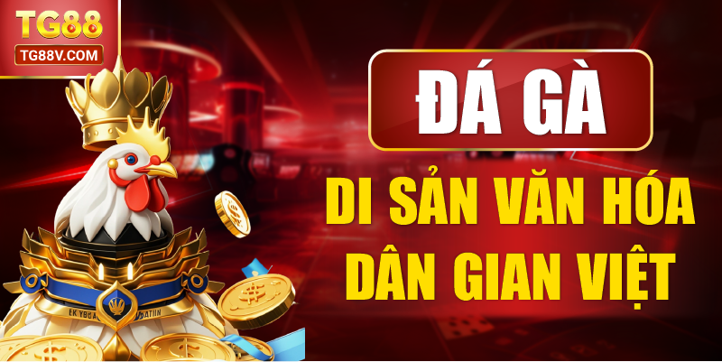 Đá Gà Di Sản Văn Hóa Dân Gian Việt